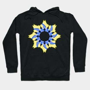 Yellow and blue Star Hoodie